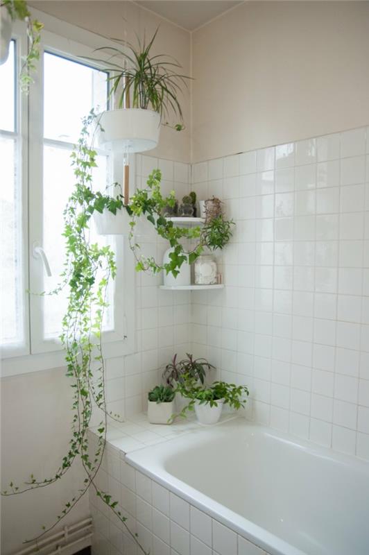 πράσινα φυτά μπάνιο σχεδιασμός κισσός