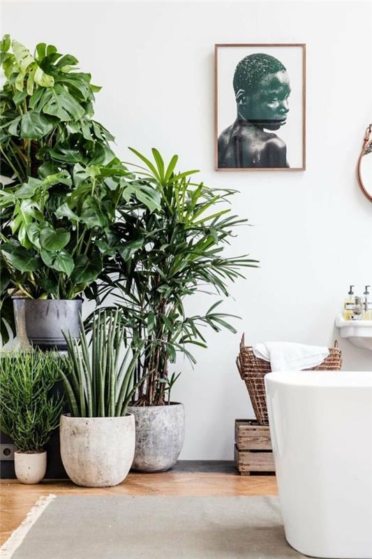 πράσινα φυτά μπάνια σχεδιαστικά δωμάτια