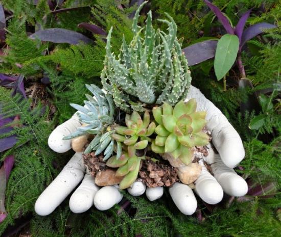 Φτιάξτε γάντια από καουτσούκ χυμώδη διακόσμηση κήπου με λουλούδια μόνοι σας