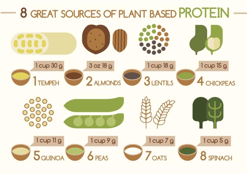 καλές πηγές πρωτεΐνης είναι η φυτική πρωτεΐνη