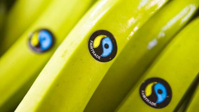 καλές ιδέες μπανάνες λογότυπο δίκαιου εμπορίου