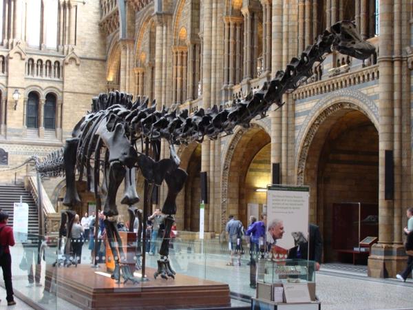 πρωτεύουσες Ευρώπη διακοπές στο μουσείο φυσικής ιστορίας του Λονδίνου