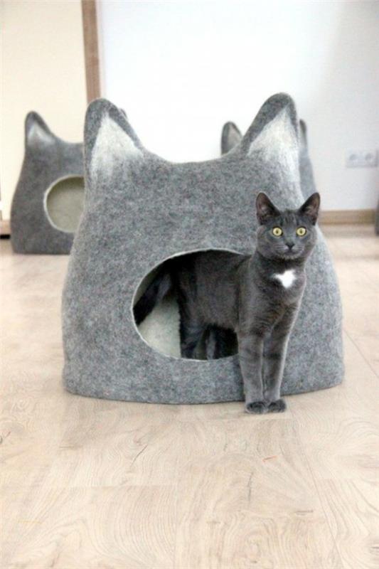 οικιακή γάτα που περιποιείται γατάκια έπιπλα κρεβάτι από τσόχα