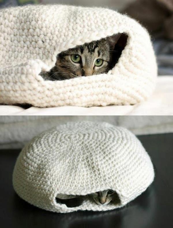 εγχώρια γάτα περιποιημένη γάτα έπιπλα κρεβάτι πλεκτό