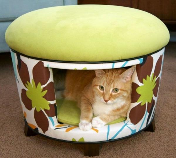 οικιακή γάτα που περιποιείται γάτες σκαμπό επίπλων κρεβατιών σε τροχούς