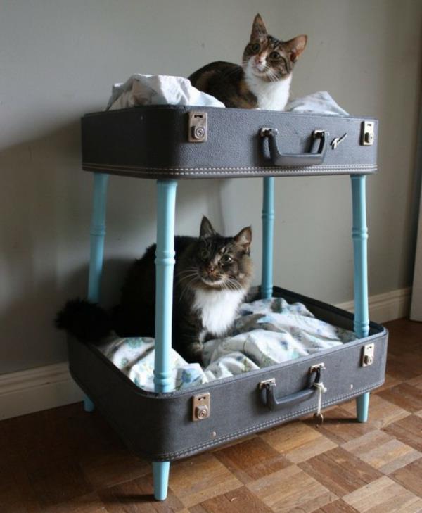 γάτες σπιτιού που περιποιούνται κρεβάτια επίπλων γάτας φτιάξτε τα δικά σας πόδια βαλίτσας
