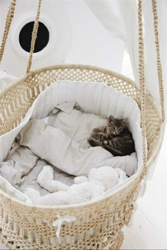 γάτες σπιτιού περιποιημένες γάτες έπιπλα κρεβάτι κούνια καλάθι