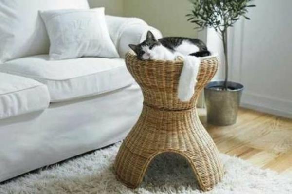 γάτες σπιτιού που περιποιούνται έπιπλα γάτας έπιπλα από μπαστούνι