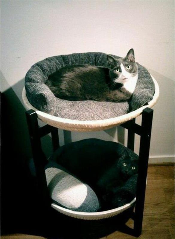 γάτες σπιτιού που περιποιούνται τα κρεβάτια επίπλων γάτας φτιάξτε μόνοι σας
