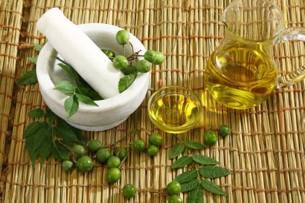 σπιτικές θεραπείες κατά του τσιμπούριου λάδι neem