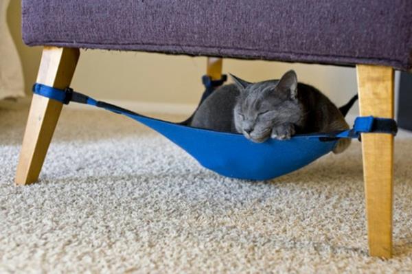 πολυθρόνα κατοικίδιων ψαριών γάτες μπλε αιώρα