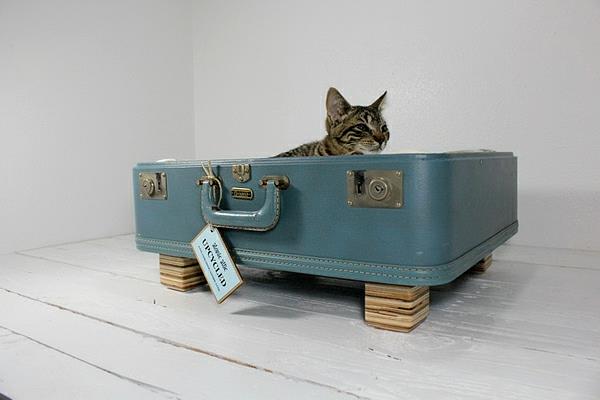 ξαπλωμένες γάτες σκυλιά βαλίτσα ντεμοντέ