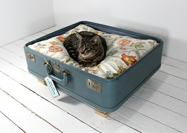 μαξιλάρια έπιπλα ψέματα γάτες σκυλιά βαλίτσες