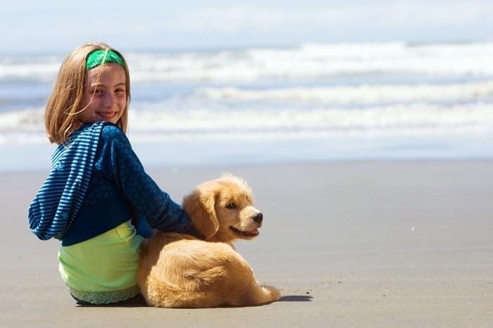 αγοράστε κατοικίδια ζώα φυλές σκύλων καλοκαιρινές διακοπές στην παραλία