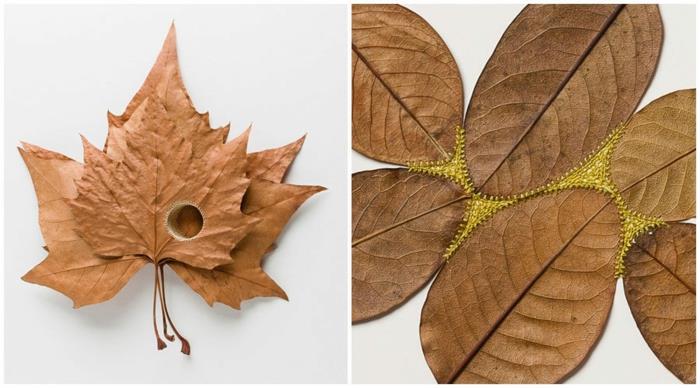 φθινοπωρινές ιδέες χειροτεχνίας με φύλλα από τον κήπο susanne bauer
