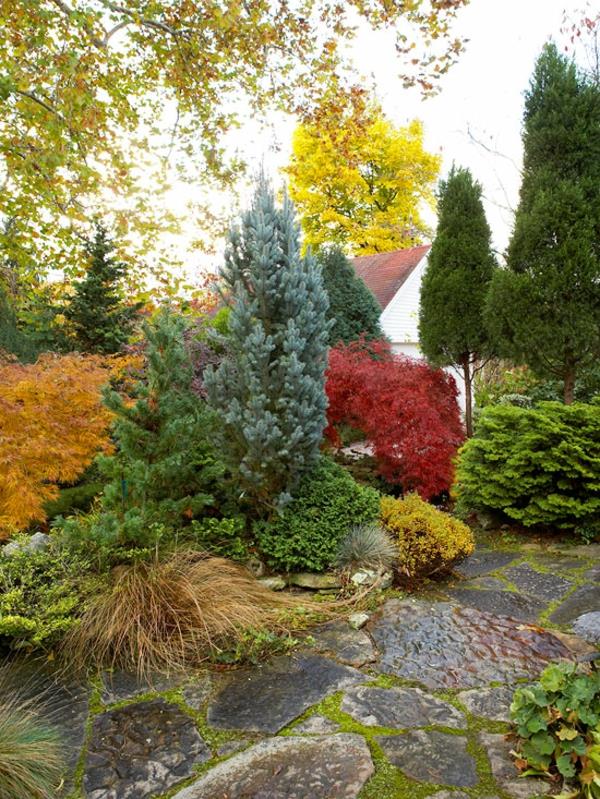 ιδέες σχεδιασμού φθινοπώρου κήπου εικόνες φθινοπωρινό σχέδιο χρώματος