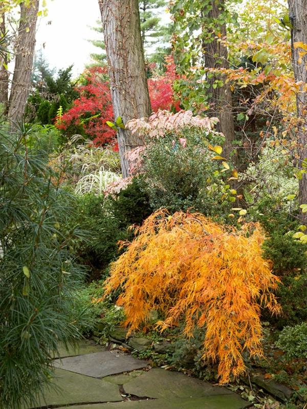ιδέες σχεδιασμού φθινοπώρου κήπου εικόνες φθινοπωρινές ιδέες χρώματος φθινοπωρινά λουλούδια