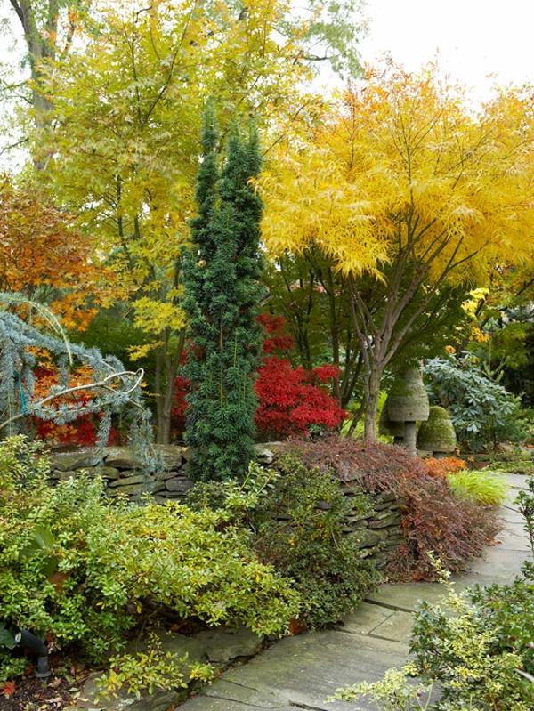 ιδέες σχεδιασμού φθινοπώρου κήπου εικόνες φθινοπωρινά λουλούδια φθινοπωρινά χρώματα