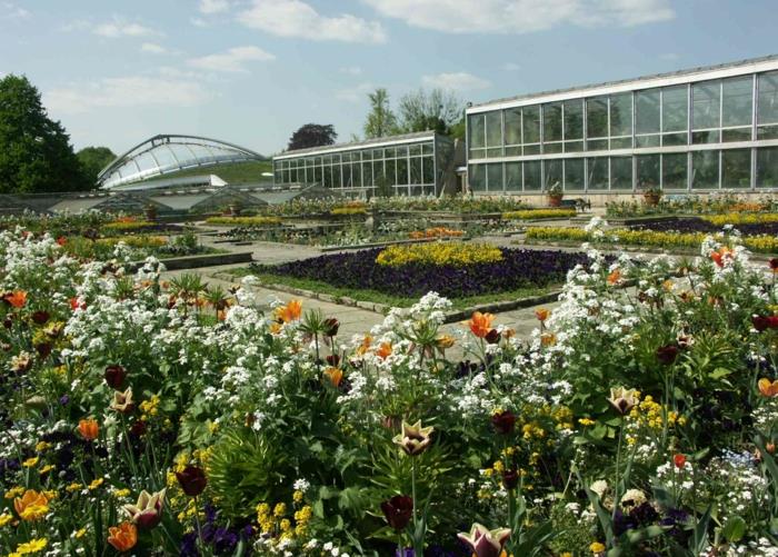 αρχοντικά κήποι hannover berggarten orchiddenhaus τροπικό δάσος σπίτι