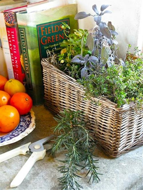πανέμορφο φενγκ σούι κουζίνα βότανο κήπο φρούτα βιβλίο
