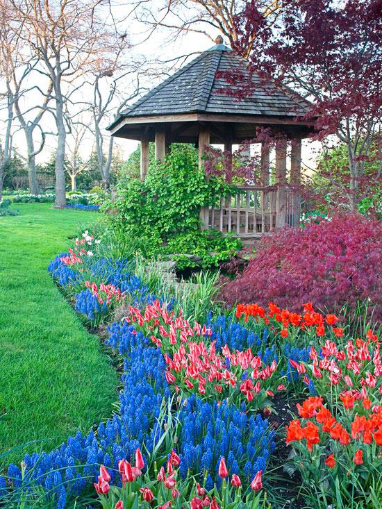 υπέροχο τοπίο κήπου πολύχρωμα λουλούδια κληματαριά