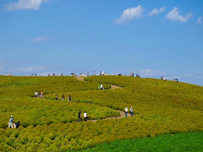 Hitachi πάρκο Ιαπωνία όμορφα τοπία άνοιξη τέλος τέλος πράσινη φύση
