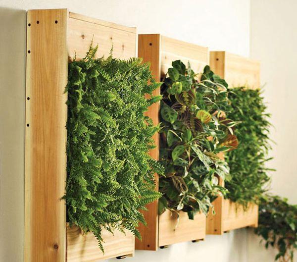 κρεμαστά γλάστρες φυτά εσωτερικού χώρου ξύλινο κουτί διακόσμηση τοίχου