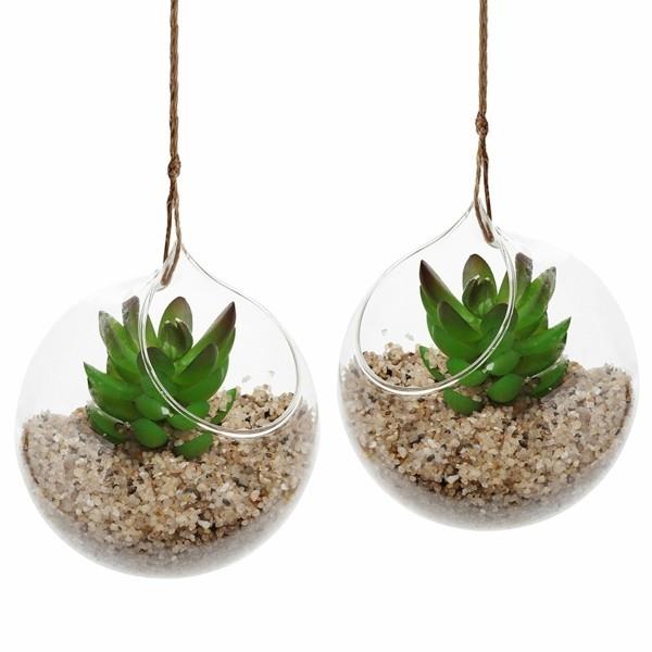 κρεμαστά φυτά διακόσμησης terrarium