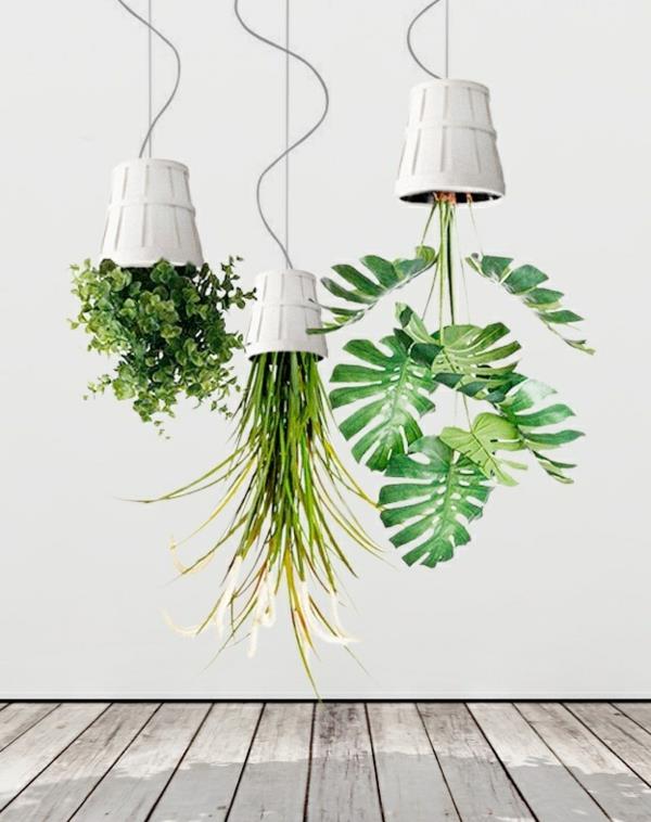 κρεμαστά φυτά ανάποδα ιδέες διακόσμησης καθορίζουν φυτά εσωτερικού χώρου