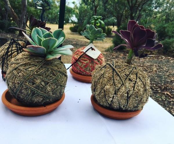 DIY κρεμαστή μπάλα βρύα κήπου Kokedama