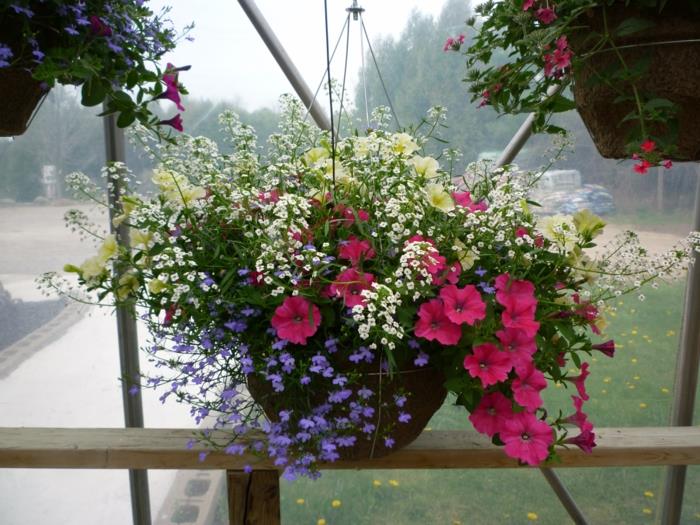 κρεμαστά φυτά μπαλκόνι συνδυάζουν διαφορετικά λουλούδια