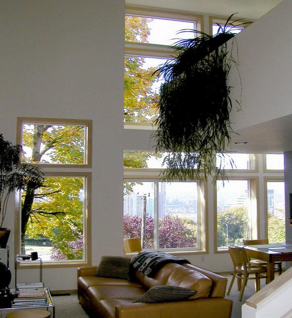φυτά εσωτερικού χώρου από γυάλινο παράθυρο με ψηλή οροφή κρεμαστά φυτά