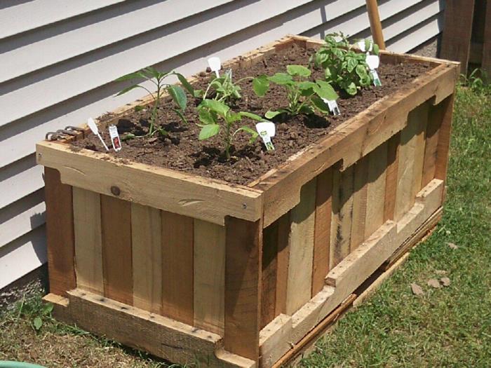χτίστε υπερυψωμένο κρεβάτι φύτευση ιδέες κήπου diy ιδέες ξύλινη μπροστινή αυλή μονοπάτι λουλουδάκι κρεβάτι ξύλινο κουτί
