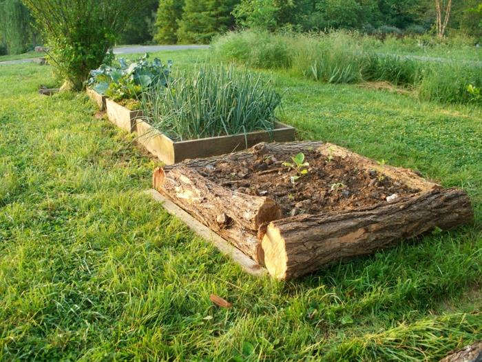 χτίστε υπερυψωμένα κρεβάτια φύτευση ιδέες κήπου diy ιδέες ξύλο μπροστινή αυλή μονοπάτι παρτέρι naumstamm