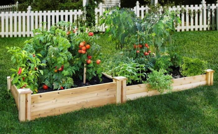 χτίστε υπερυψωμένα κρεβάτια φύτευση ιδέες κήπου diy ιδέες ξύλο μπροστινή αυλή μονοπάτι παρτέρια ντομάτες