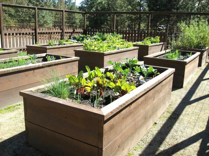 δημιουργήστε υπερυψωμένα κρεβάτια ιδέες κήπου κηπουρική φυτά κήπου