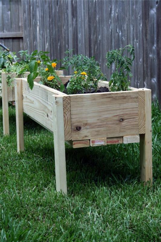 Δημιουργήστε υπερυψωμένα κρεβάτια, ιδέες κήπου, φυτέψτε γκαζόν