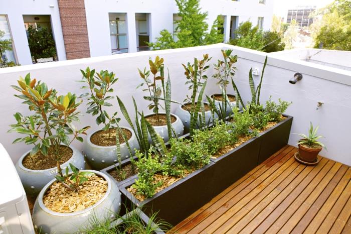 υπερυψωμένα κρεβάτια κομψός σχεδιασμός στρογγυλά δοχεία φυτών δημιουργούν μια βεράντα
