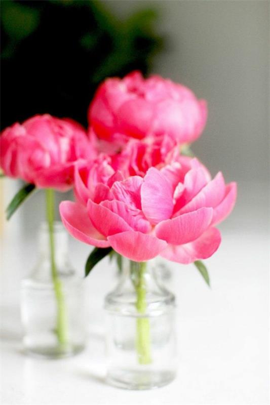 ανοιξιάτικα γαμήλια λουλούδια παιώνια τριαντάφυλλα