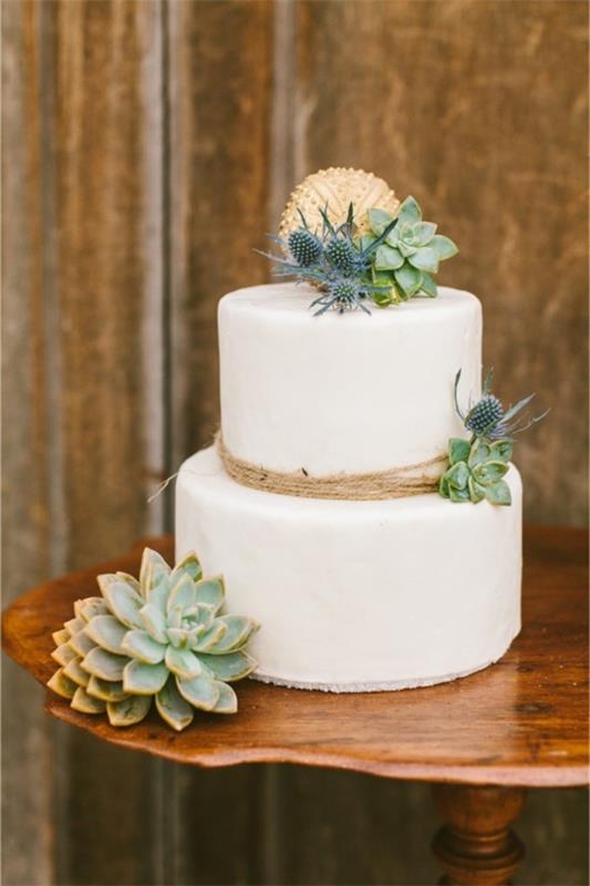 Διακοσμήστε γαμήλια τούρτα με παχύφυτα και περίβλημα αχινού