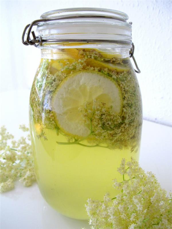 Σιρόπι Elderflower σπιτικό λεμόνι υγιεινό