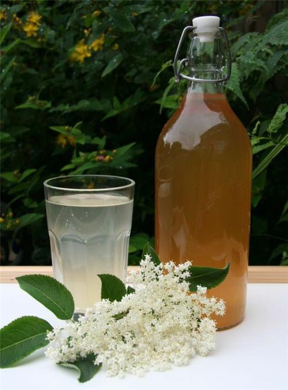 Elderflower σιρόπι λευκά λουλούδια γυάλινο μπουκάλι