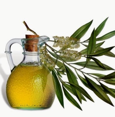 Saç Uzaması İçin Çay Ağacı Yağı