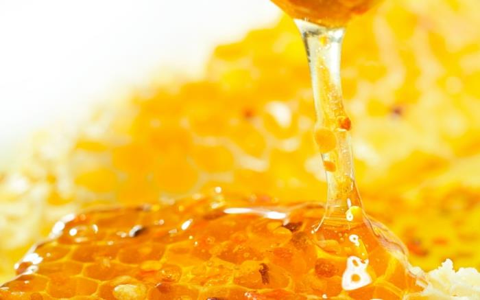 μέλι στο κεφάλι υγιές δοχείο μελιού κουταλιά μέλι κηρήθρα