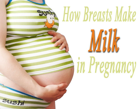 nėštumo motinos pienas