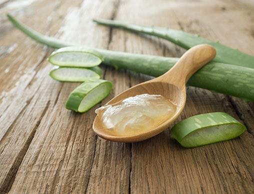 Aloe Vera nuo galvos odos spuogų