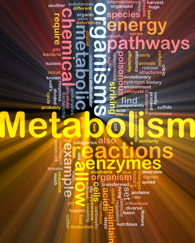 Kaip padidinti metabolizmą po 40 metų