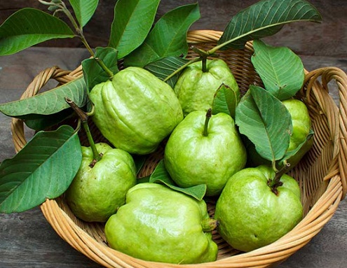 Veido pakuotė su gvajavos lapais ir pomidorais