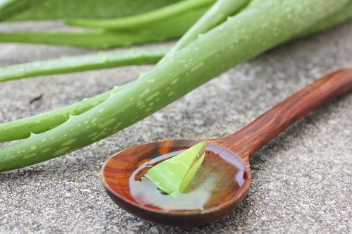 Koyu Halkalar için Aloe Vera Jel