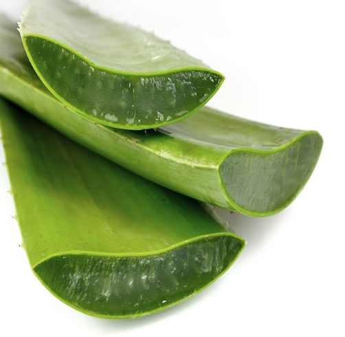 Yüzdeki Kırışıklıkları Azaltmak İçin Aloe Vera